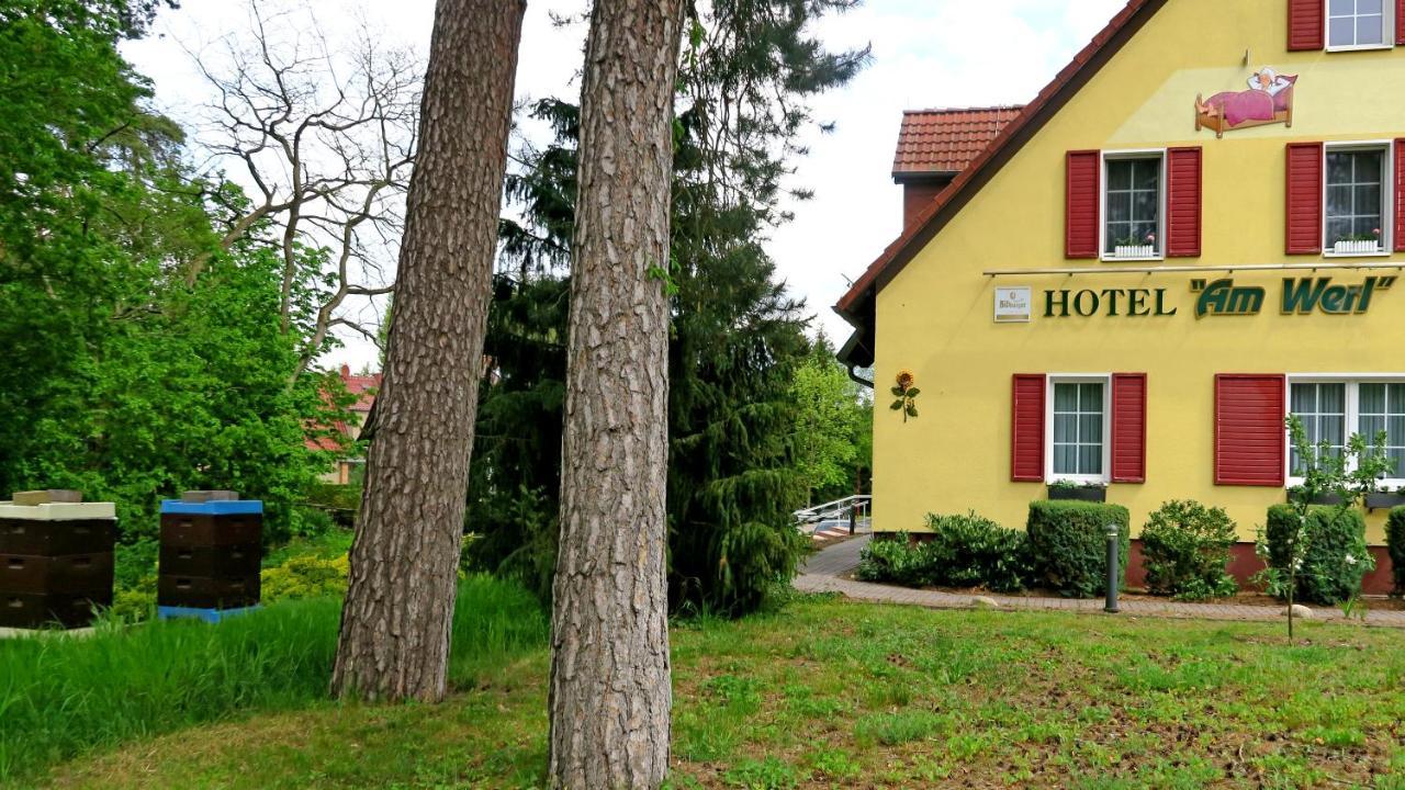 Hotel "Am Werl" Bad Saarow Bagian luar foto